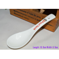 Hot sell porcelain personalized salt spoon